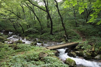 9那須平成の森・環境省提供